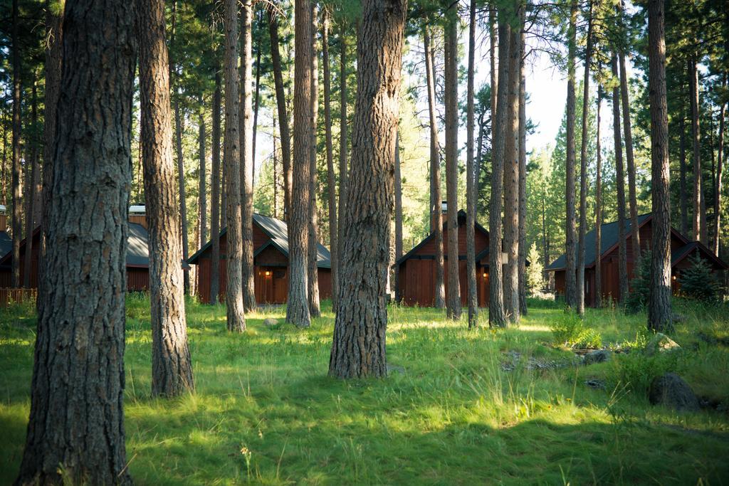 Fivepine Lodge Sisters Exterior photo
